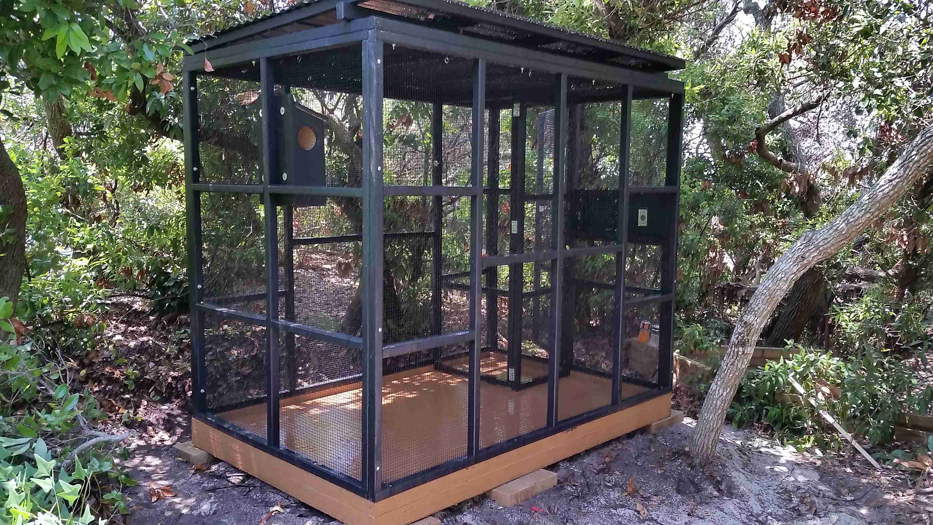 Squirrels & Sugar Glider Cages critters