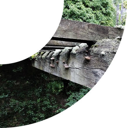 Site_Photos4.png