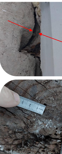Site_Photos6.png