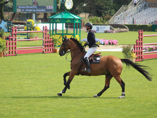 CSIO La Baule : superbe comme toujours !