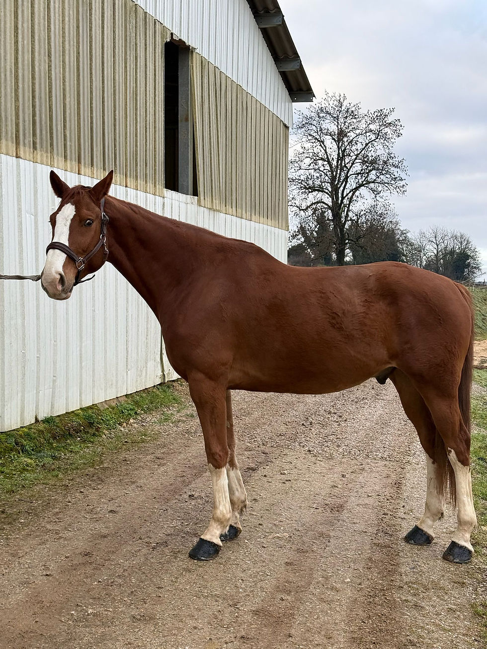 WhatsApp Image 2025-12-09 at 19.42.34 (1)