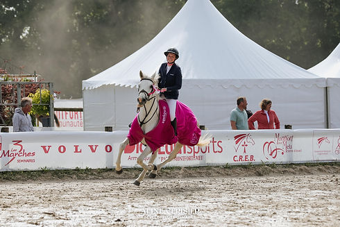 WhatsApp Image 2026-04-07 at 20.33.36.jpeg