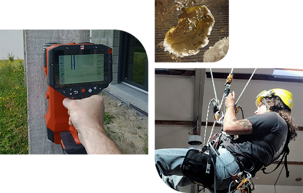 Site_Photos1.png