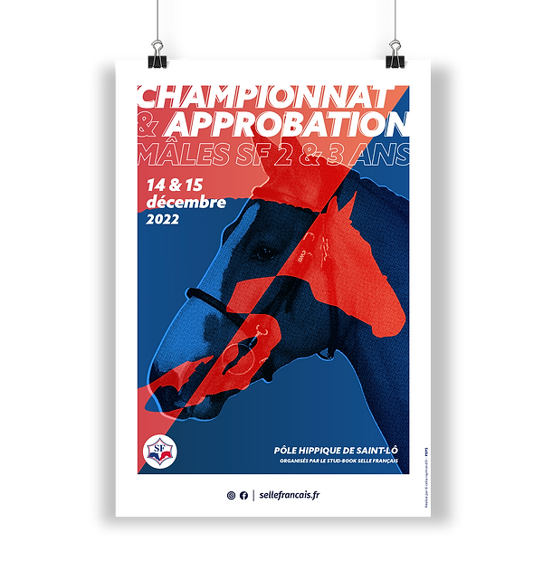Mockup affiches3.png