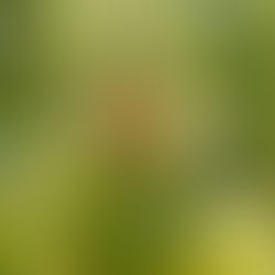 "Anything not growing is dying.. if you think you are done ~ you are done."