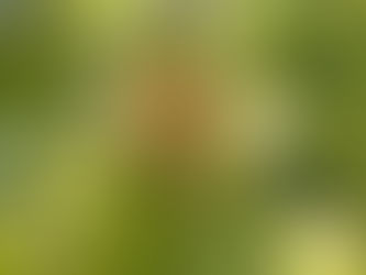 "Anything not growing is dying.. if you think you are done ~ you are done."