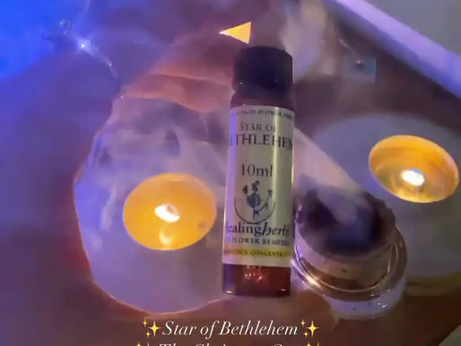 ✨Star of Bethlehem✨