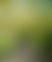 PARTICIPATION A LA 13° EDITION DES RANDONNEES EN VAL DE MARQUE - 21 AVRIL 2024