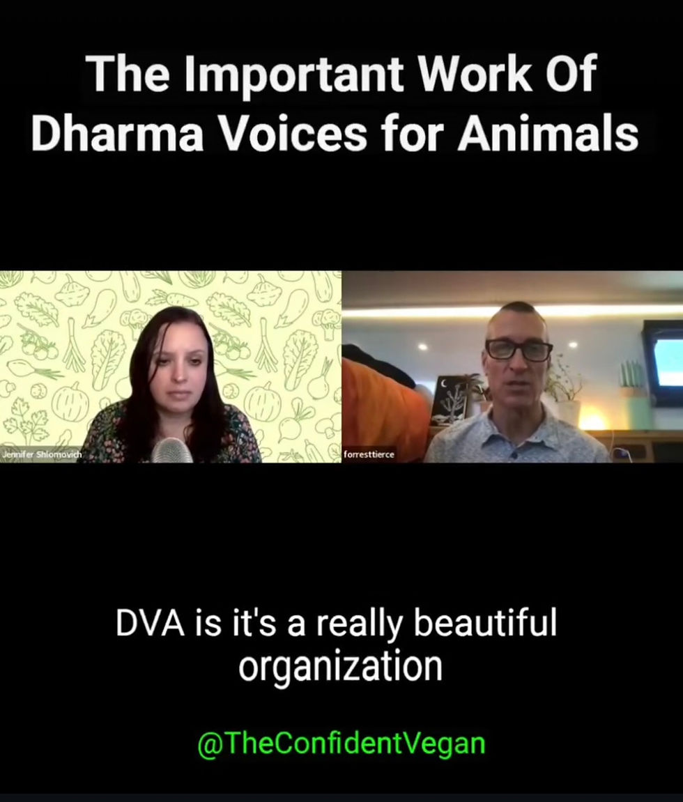 Click here to watch this clip.