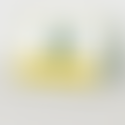 Clarkson University graduation announcement 