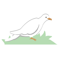 Dove-7sm.png