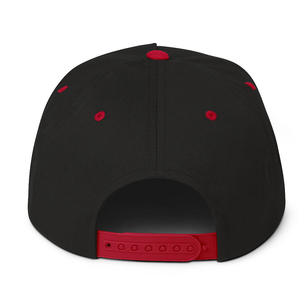 Thumbnail: Embroidered AIM Flag Flat Bill Cap