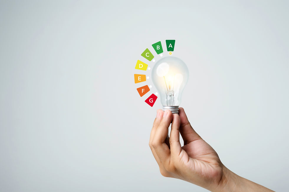 House energy efficiency or energy saving rate for reduce carbon footprint. Hand hold light