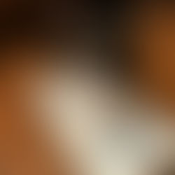 SolidGold FX Horizon Compressor Review