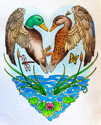 Mallard Duck Heart Valentine Anniversary Couple Love