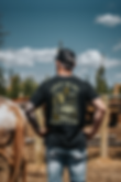 Horses .png