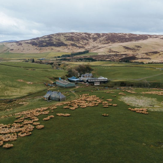 A Quiet Legacy in the Yarrow Valley