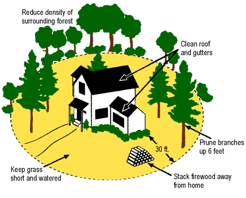 Graphic showing 30-foot perimeter around a home identifying that tree branches should be pruned up 6-feet, forest density should be reduced, gutters and roof should be cleaned, and grass should be short and watered to ensure open burn safety at your home. Also, firewood should be stacked away from the house.