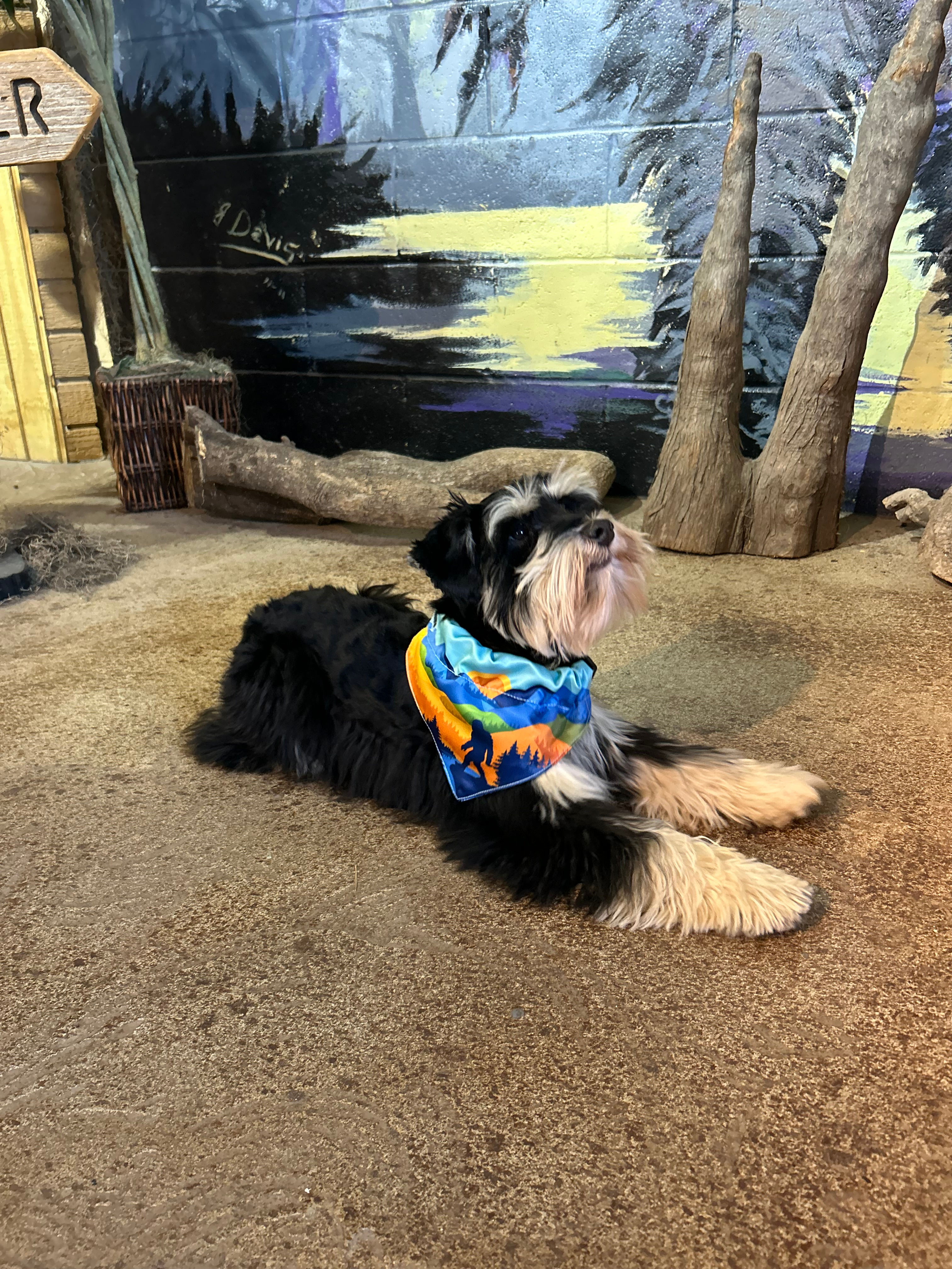 Bigfoot Dog Bandana
