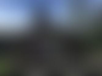 Where do you get it?