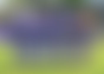 Poli Timisoara si Casa Bunicii, un parteneriat pentru comunitate