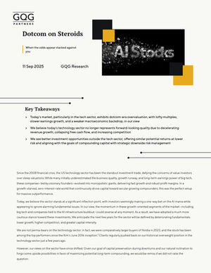 Dotcom on Steroids