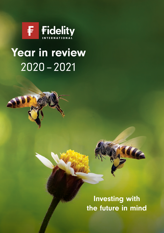 The Year in Review - Fidility