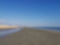 IMG_20210323_154519.jpg