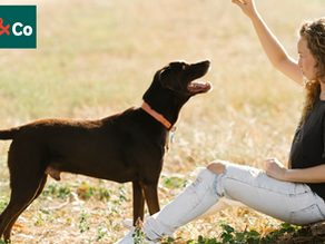 Datamaturiteit, een assessment voor Tom en Co: naar een geavanceerde data-organisatie