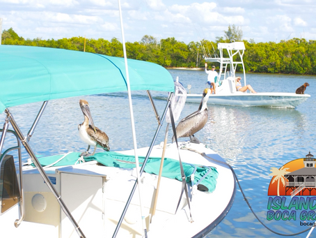 Boating in Southwest Florida