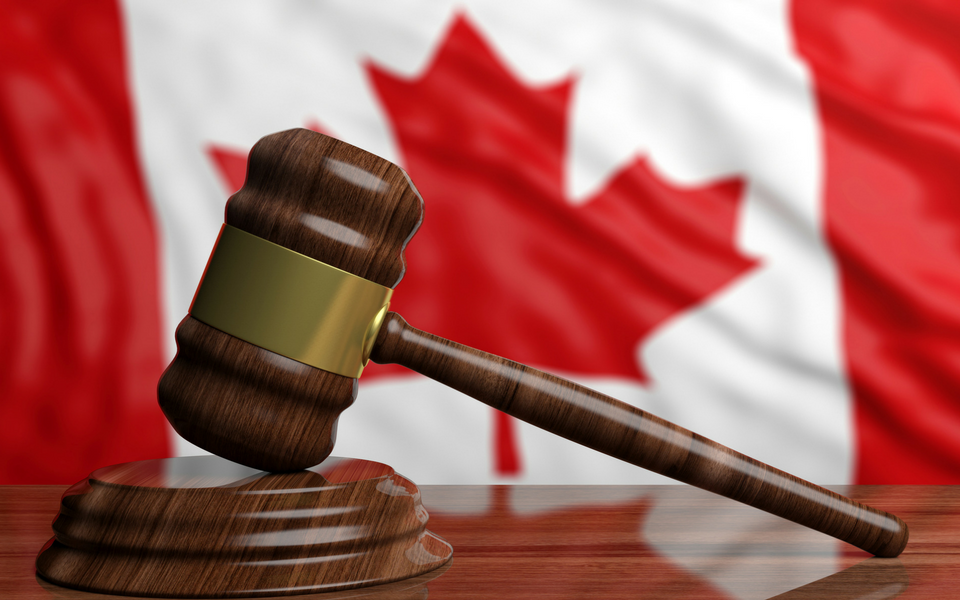 Procedural Fairness Letters