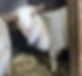 20250114_182451.jpg