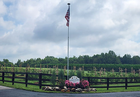 website farm entrance.jpg