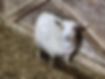 20250114_182649.jpg