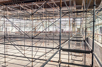 Leading Edge Scaffold