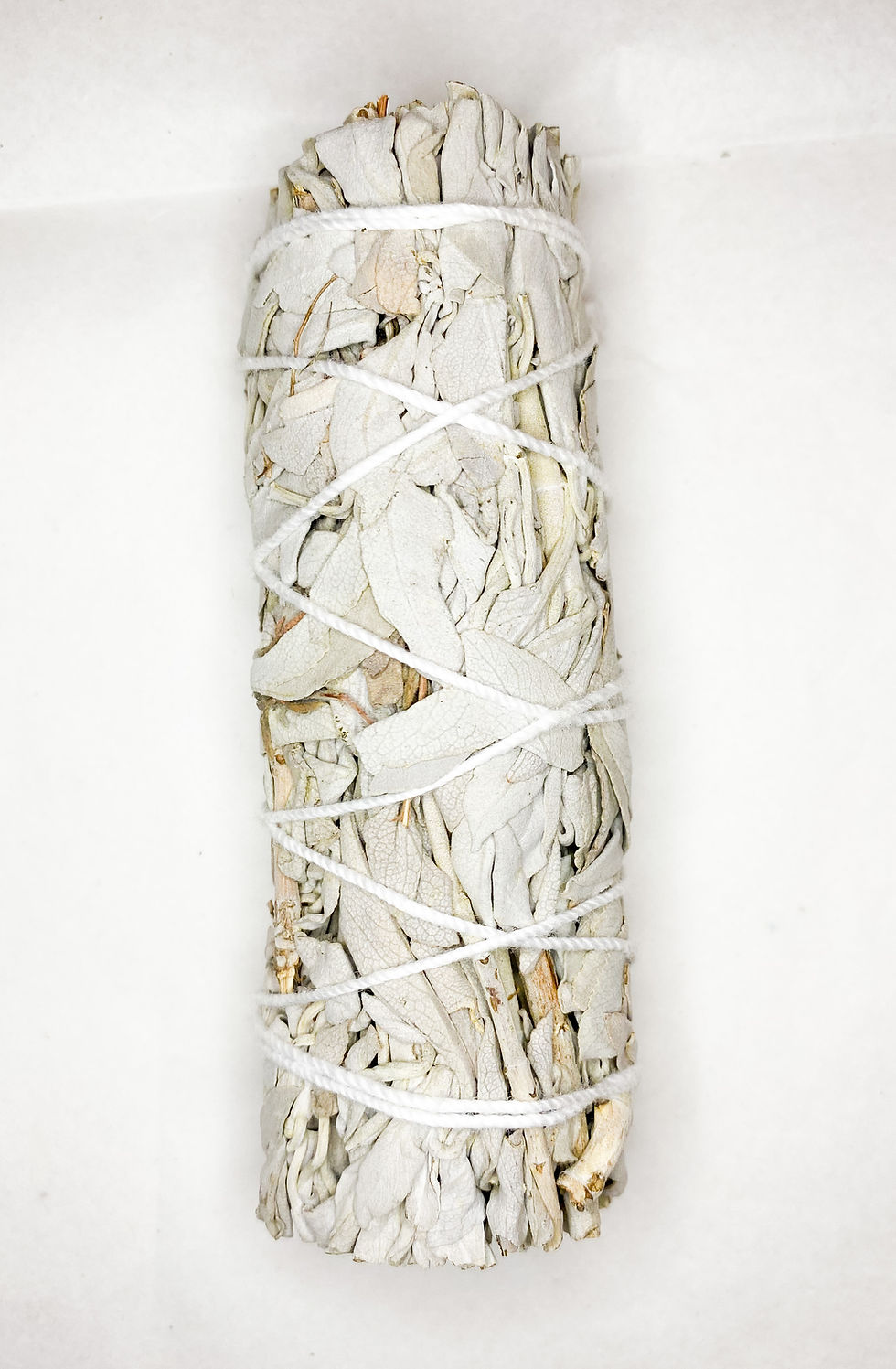 Thumbnail: 4" White California Sage