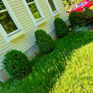 Lawn Care