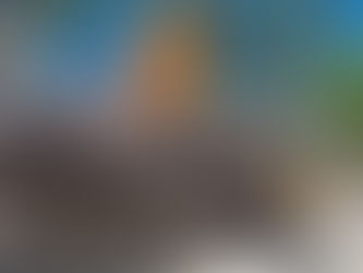 City Living or Island Life?