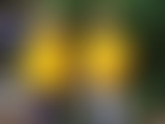 Diniwid Rescue: How a patrolman, two construction workers, two passersby, and a local tourist saved