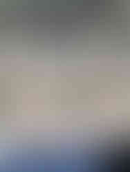 Chef's cooking in a competition