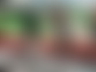 Crazy Joe: Champion Athlete