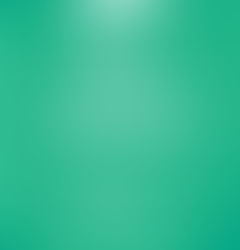 Boracay Veterinarian Mission