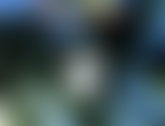 The Future of Flight