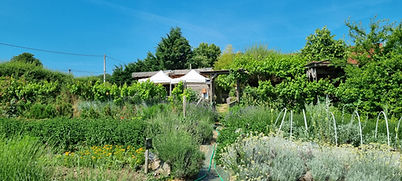 Voyage à Rome colleg prive Givry 71 (77).jpg