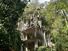 IMG_4229_edited.jpg