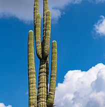 shutterstock_1658343979 (1).jpg