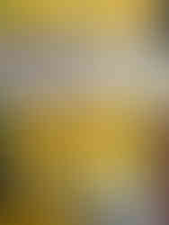 Jimmy Nardello seed pack