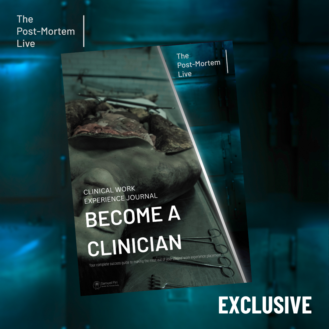 Become a Clinician 40 page Work Experience Journal