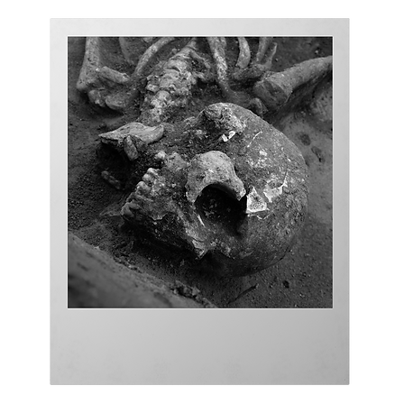 skull 2.png