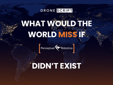 What Would the World Miss If Perceptual Robotics Didn't Exist?